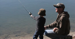 Describe the photo or the page it links to