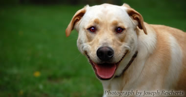 #image4 small portfolio4